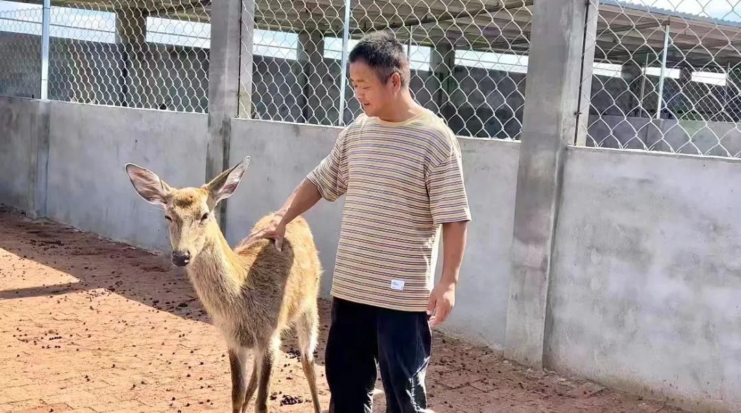 快速充值中心